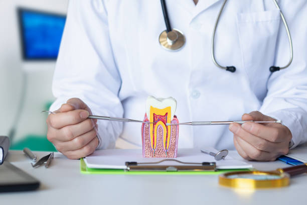 Best Knocked-Out Tooth (Avulsed Tooth) Treatment in Augusta, GA